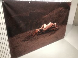 Exposición de Mutantes 2022